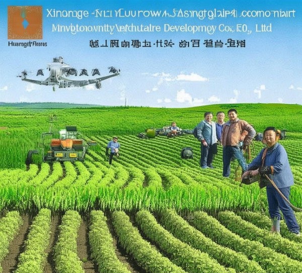 襄阳市现代农业科技开发有限公司，科技赋能农业现代化，助力乡村高质量发展